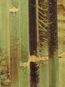 Bambu Seinäpäällyste
